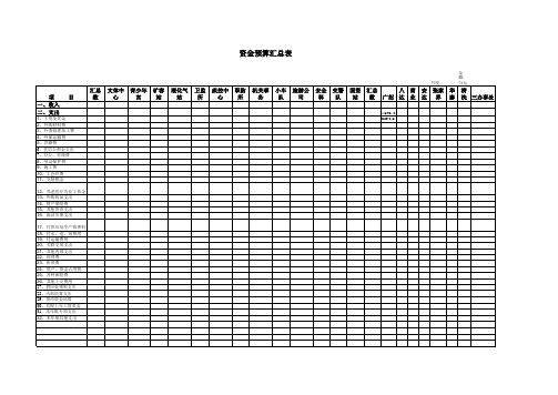 资金预算汇总表