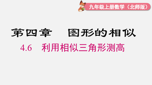 北师大版九年级数学上册第四章  图形的相似 利用相似三角形测高