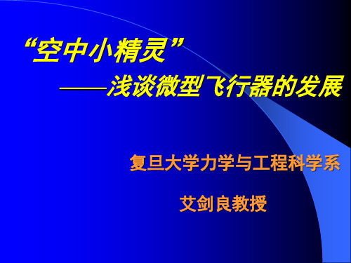 微型飞机发展现状及其关键技术