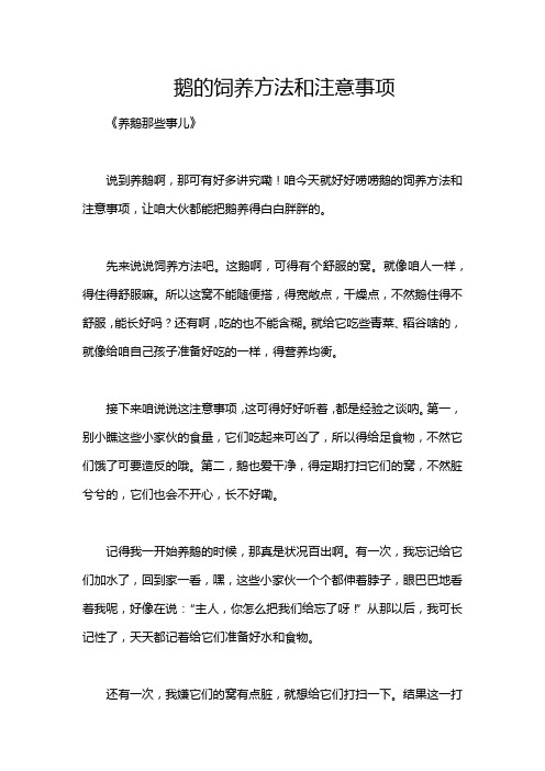 鹅的饲养方法和注意事项