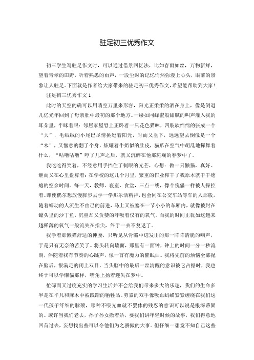 驻足初三优秀作文