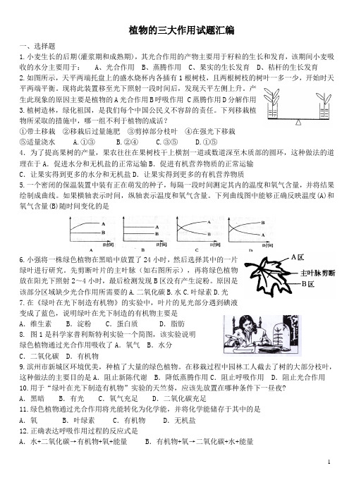 植物的三大作用试题及答案