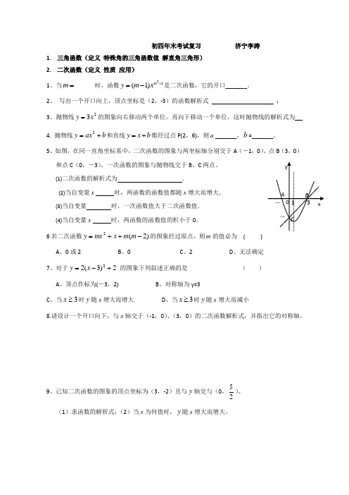 鲁教版初四全年经典复习