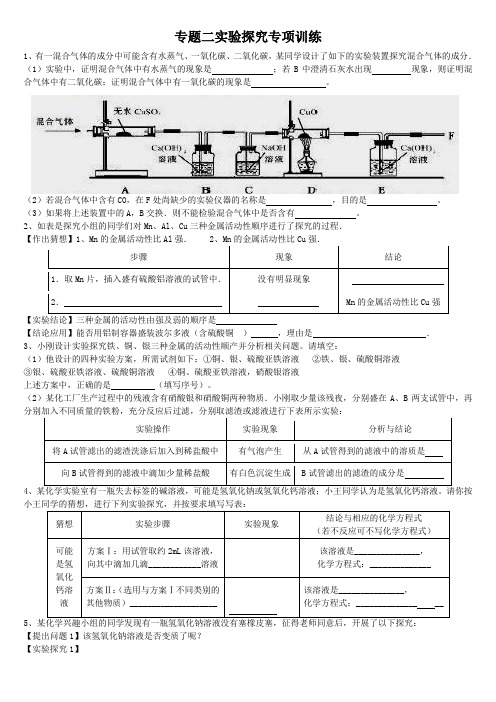 2014初中化学实验探究题专题训练