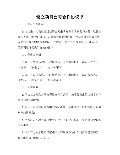 设立项目公司合作协议书