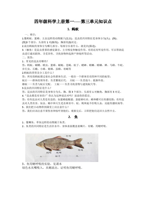 四年级科学上册第1-3单元知识点汇总