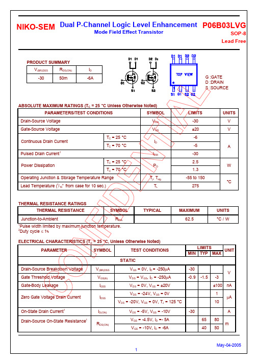 P06B03LVG中文资料