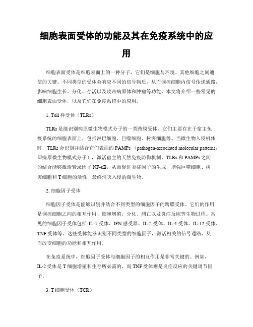 细胞表面受体的功能及其在免疫系统中的应用