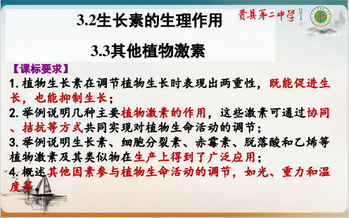 一轮复习生长素的生理作用和其他植物激素公开课-PPT