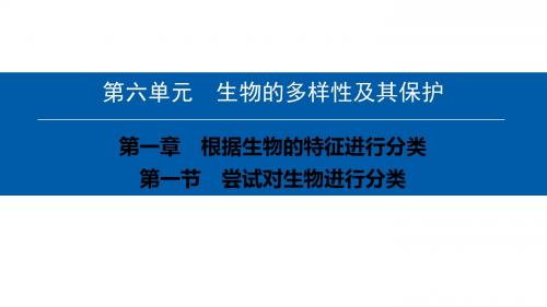 2018最新人教版八年级生物上册课件：第六单元-第一章-第一节 尝试对生物进行分类