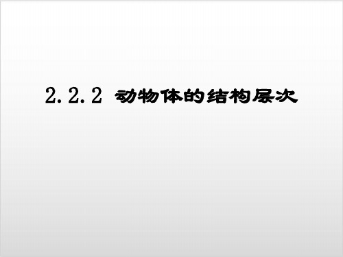 新人教版生物《动物体的结构层次》PPT完整版1
