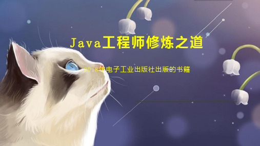 Java工程师修炼之道