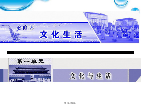 广东省揭阳市第一中学政治必修三课件第一课文化与社会文化与社会