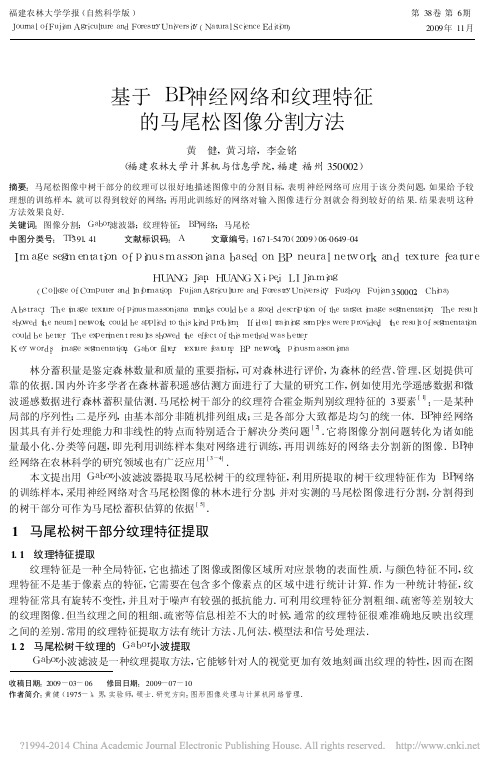 基于BP神经网络和纹理特征的马尾松图像分割方法_黄健