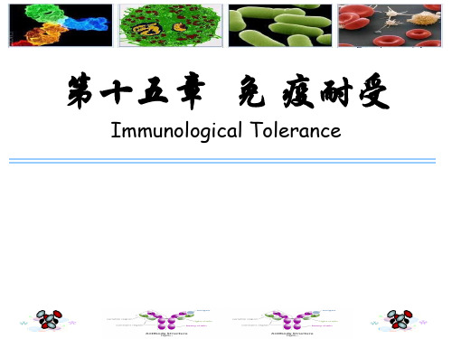 医学免疫学-15免疫耐受-w2015