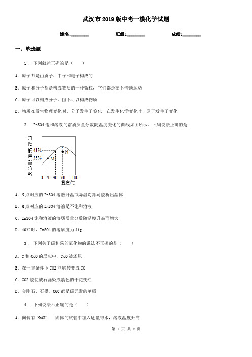 武汉市2019版中考一模化学试题