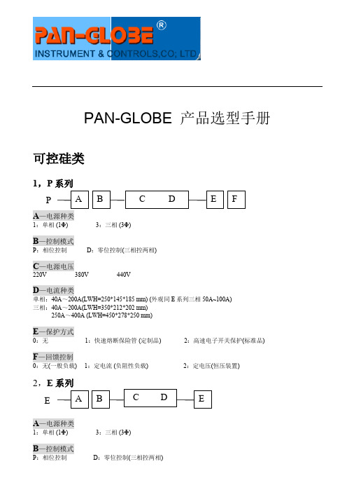 Pan-Globe泛达仪表选型手册