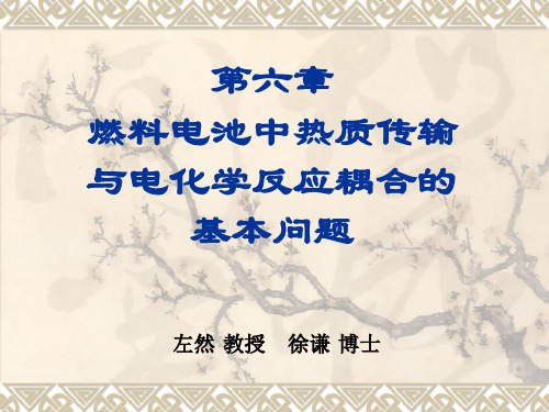 传热和传质基本原理     第六章 燃料电池中的传热传质