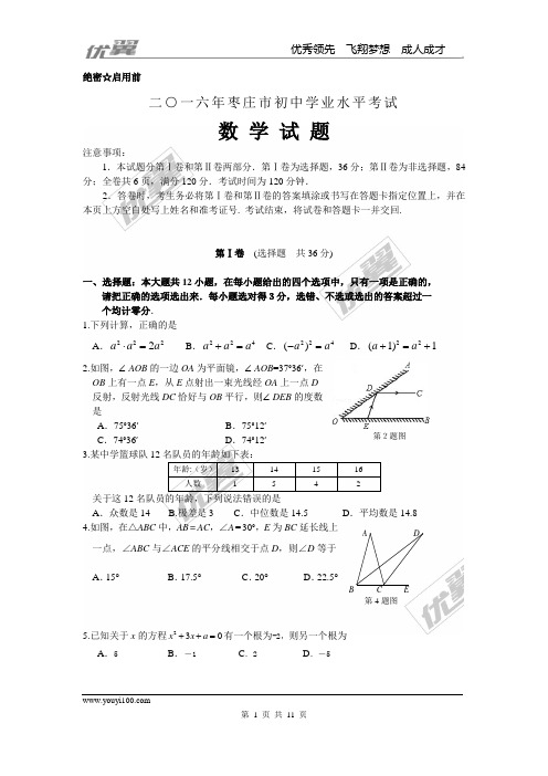 2016年山东省枣庄市中考试题