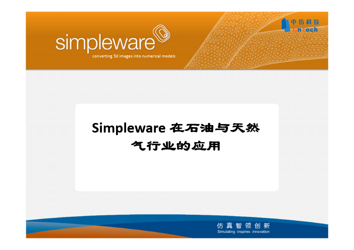 Simpleware_石油与天然气行业的应用