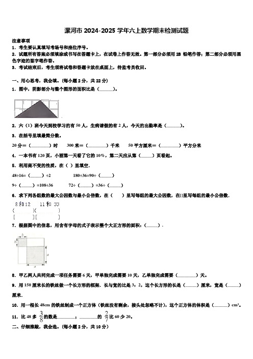 漯河市2024-2025学年六上数学期末检测试题含解析