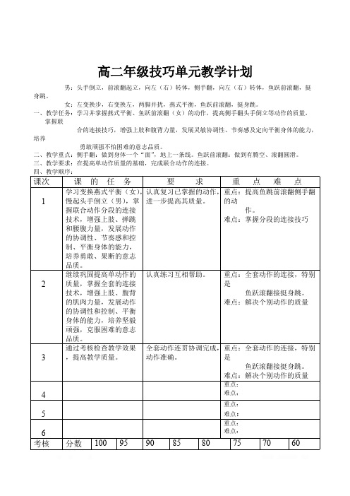 高二体育各项单元计划  技巧