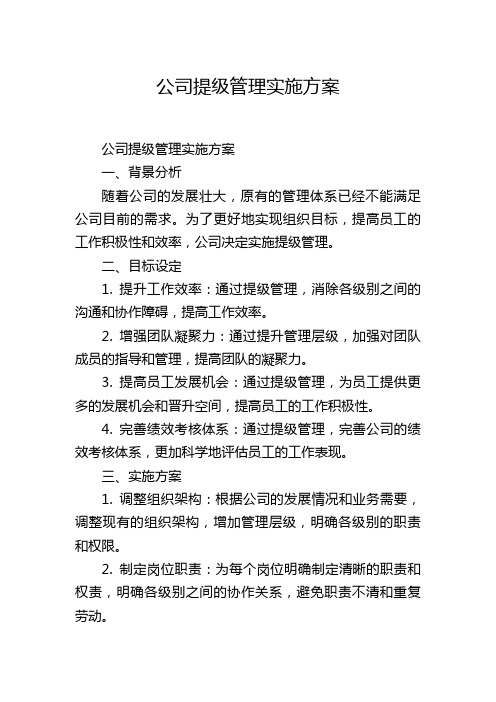 公司提级管理实施方案