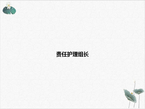 责任护理组长PPT.