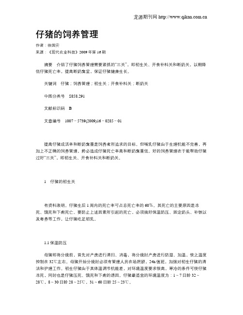仔猪的饲养管理
