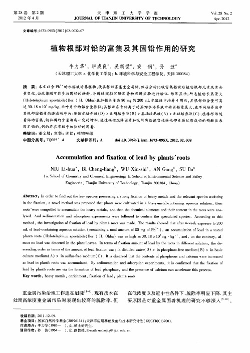 植物根部对铅的富集及其固铅作用的研究