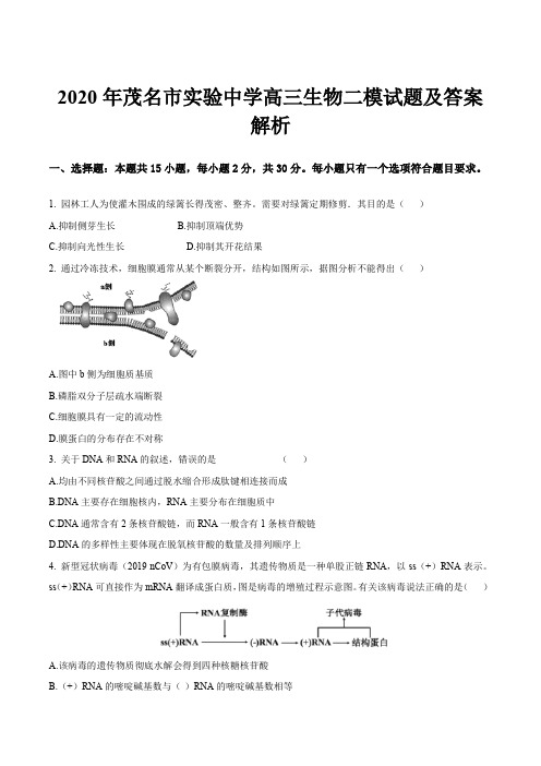 2020年茂名市实验中学高三生物二模试题及答案解析