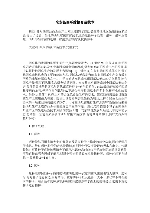 来安县西瓜嫁接育苗技术