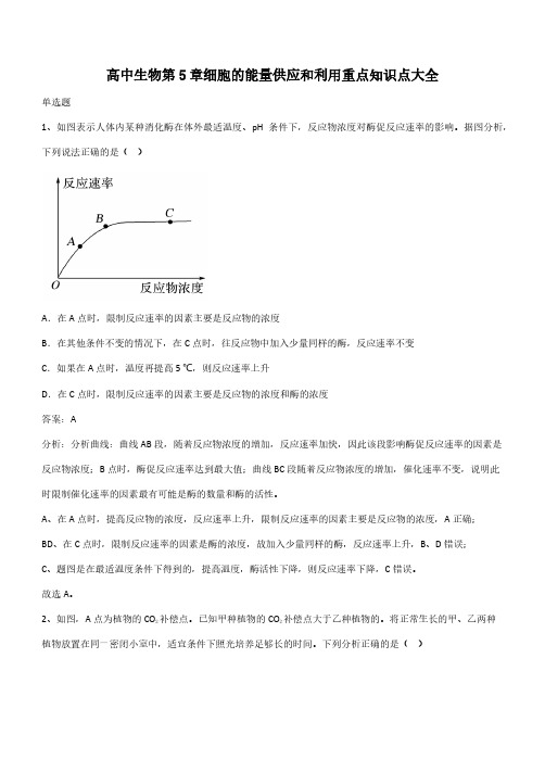 高中生物第5章细胞的能量供应和利用重点知识点大全(带答案)