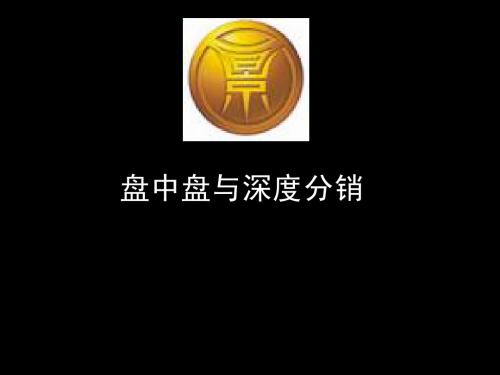 盘中盘、深度分销