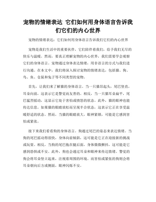 宠物的情绪表达  它们如何用身体语言告诉我们它们的内心世界