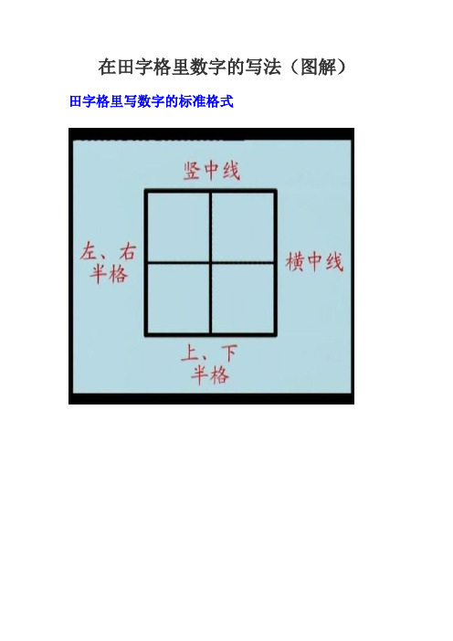 在田字格里数字的写法(图解)