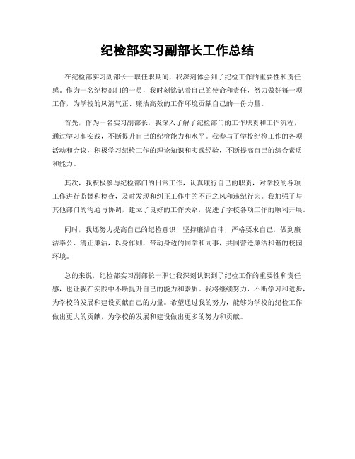 纪检部实习副部长工作总结