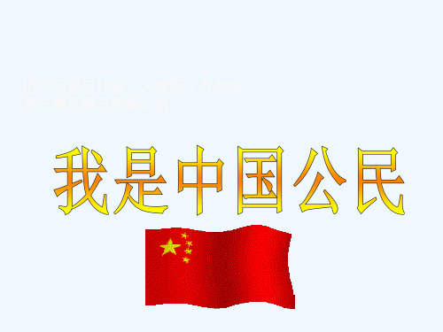 我是中国公民