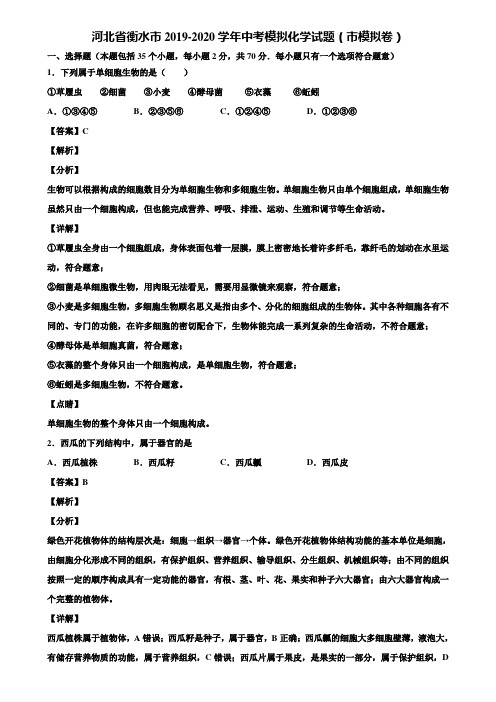 河北省衡水市2019-2020学年中考模拟化学试题(市模拟卷)含解析