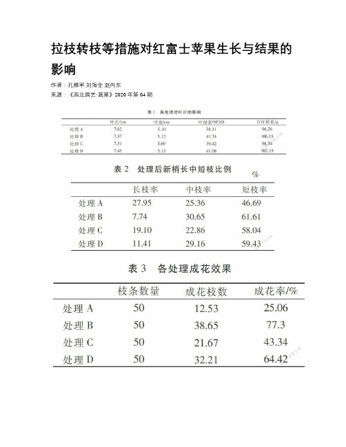 拉枝转枝等措施对红富士苹果生长与结果的影响