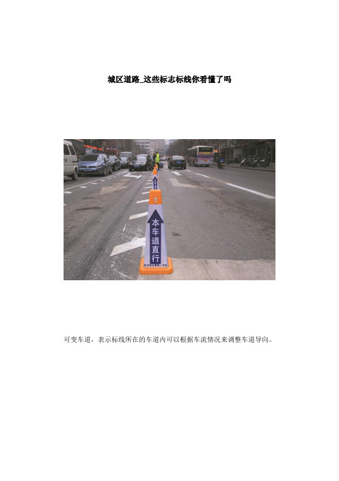 城区道路_这些标志标线你看懂了吗