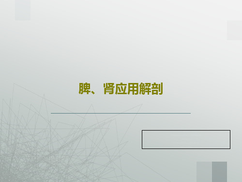 脾、肾应用解剖共71页