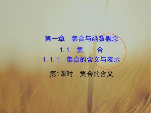 2017年秋高中数学必修一 课件_1-1集合1-1-1-1 课件 精