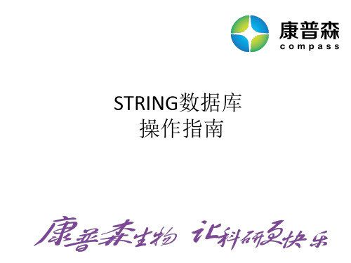 STRING 蛋白网络分析操作流程