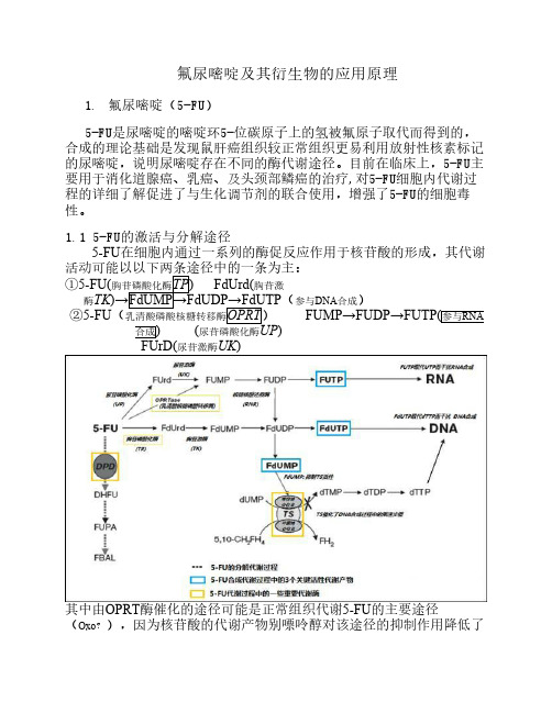 氟尿嘧啶及其衍生物的临床应用原理