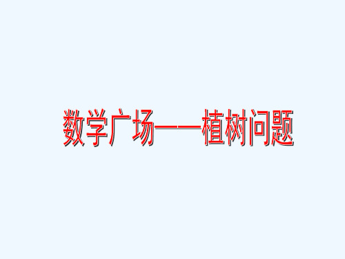 沪教版三年级上册《数学广场植树问题》课件