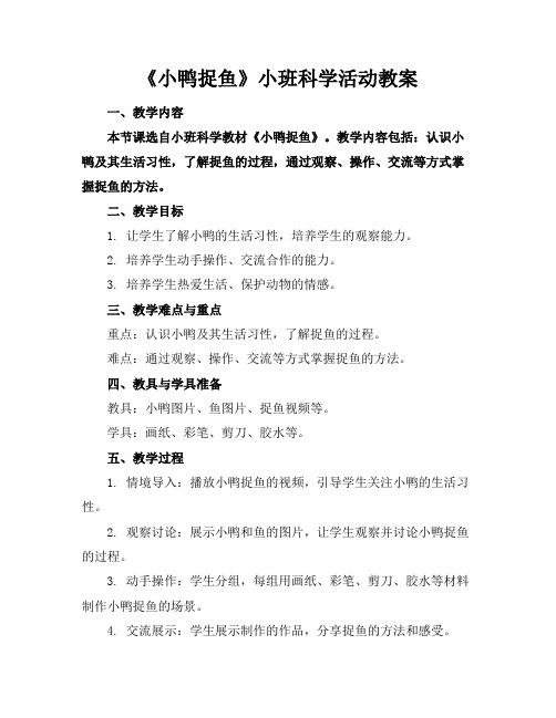 《小鸭捉鱼》小班科学活动教案