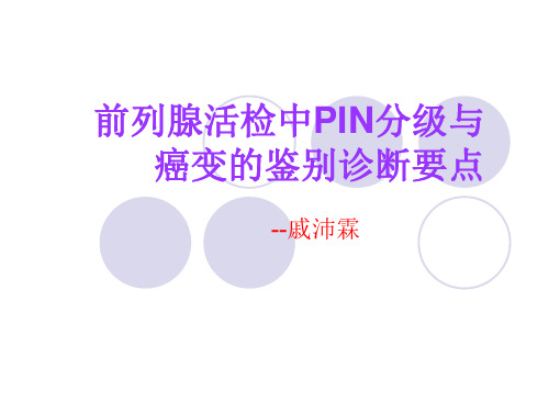 前列腺活检中PIN分级与