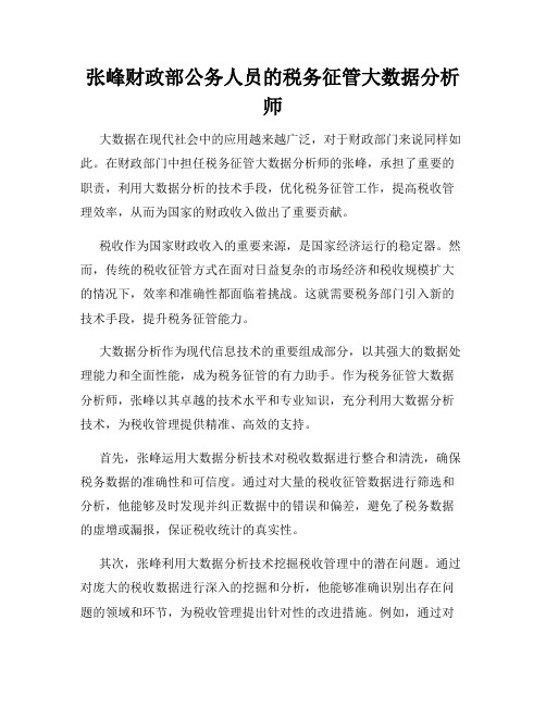 张峰财政部公务人员的税务征管大数据分析师