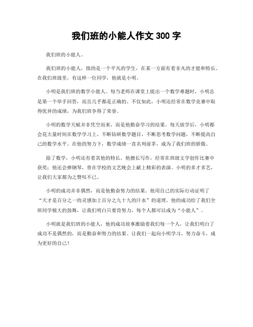 我们班的小能人作文300字